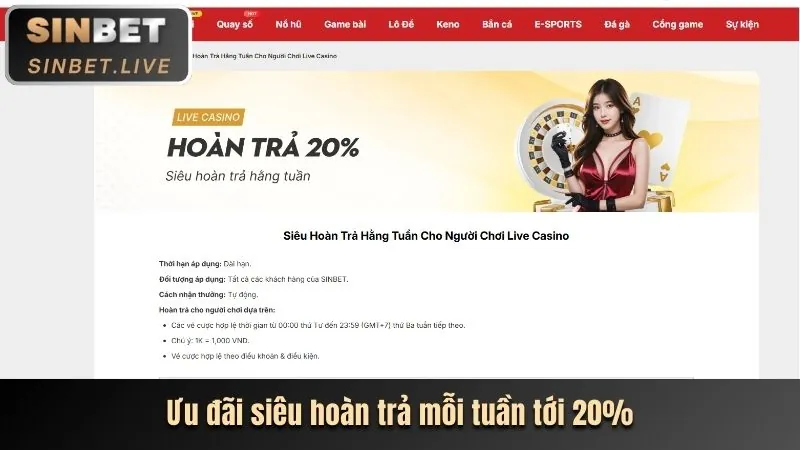 Hình ảnh minh họa chính sách Cookie của MH88
